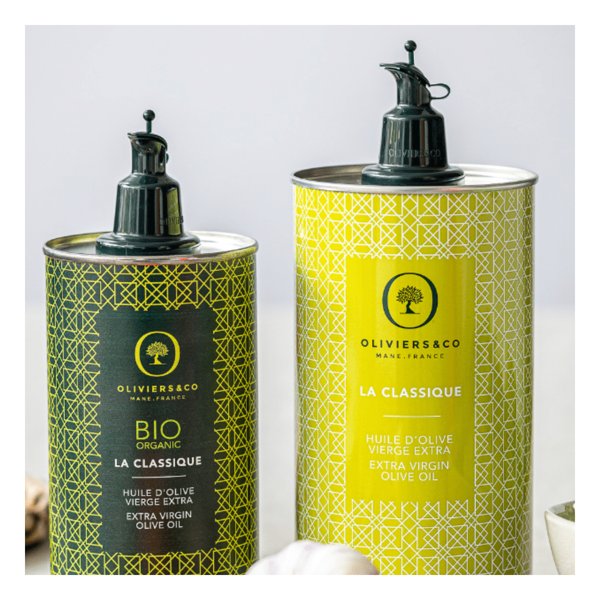 Y.S. OLIVE TREES PARADISE 4/4 ビンテージ【整備品】 Check out these XL bird of paradise & olive trees we planted up at