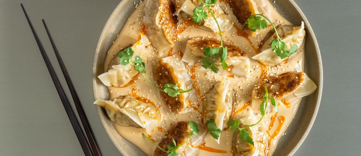 Vegetarian Dumplings 