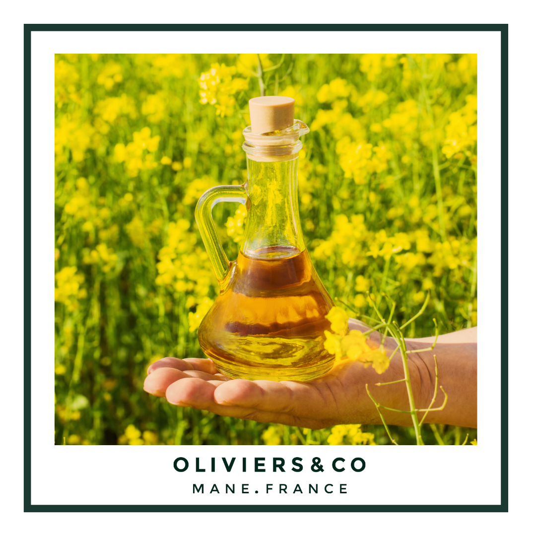 Canola Oil vs Olive Oil: Unveiling the Differences
