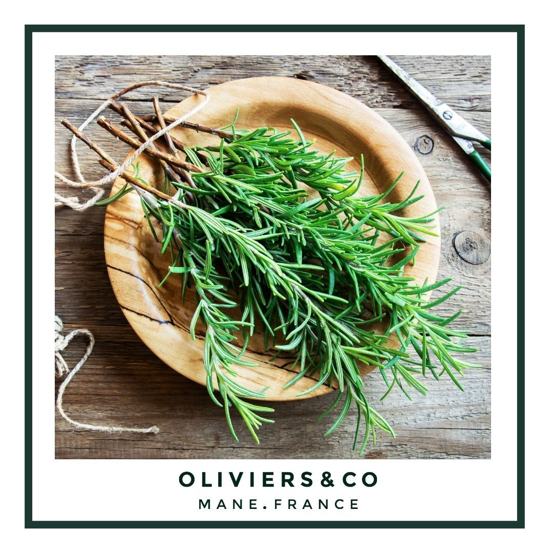 Rosemary: history, benefits & virtues